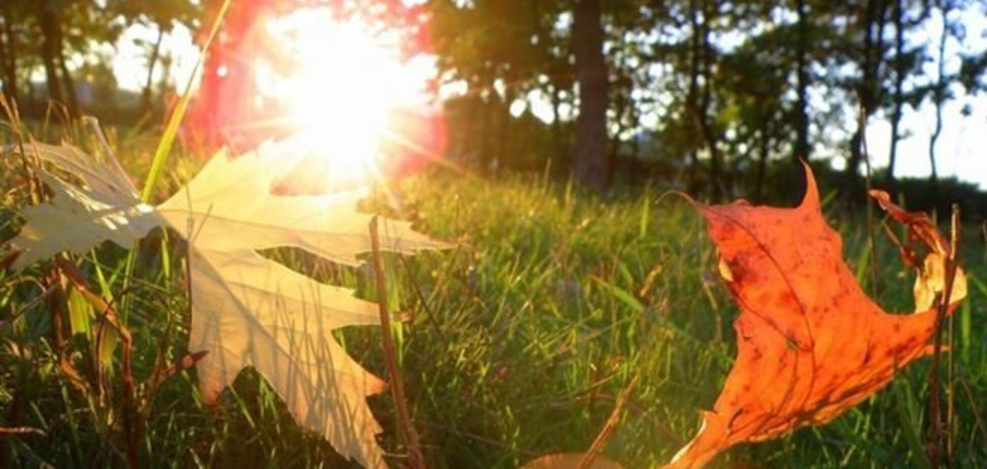 Украину ожидает вторая волна 'бабьего лета'