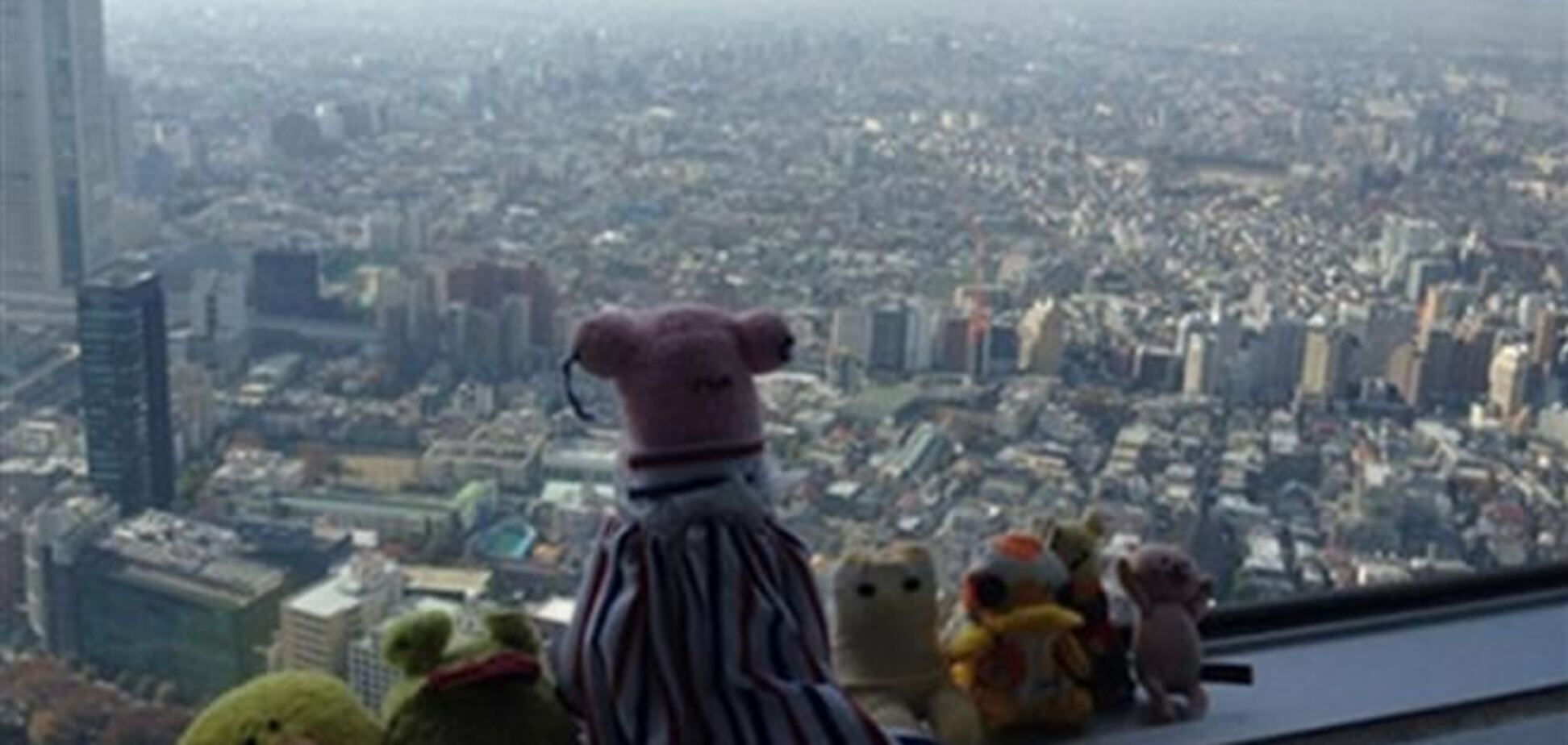 В Японии открыли турфирму для мягких игрушек