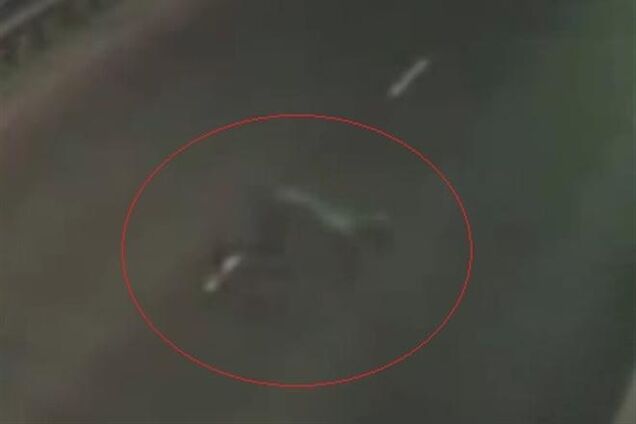 Дорожная камера сняла чудовище