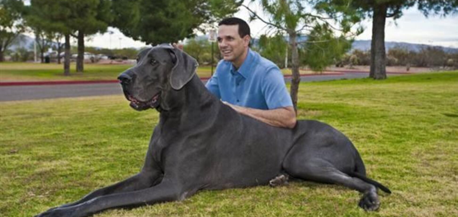 Умер самый высокий пес в мире
