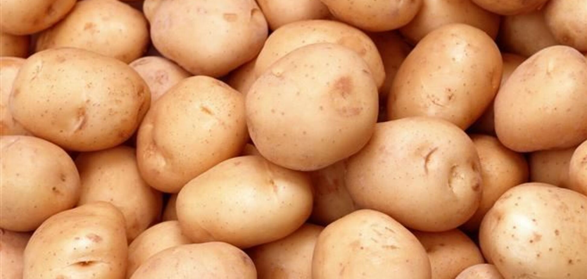 За год картофель в Украине подорожал в четыре раза