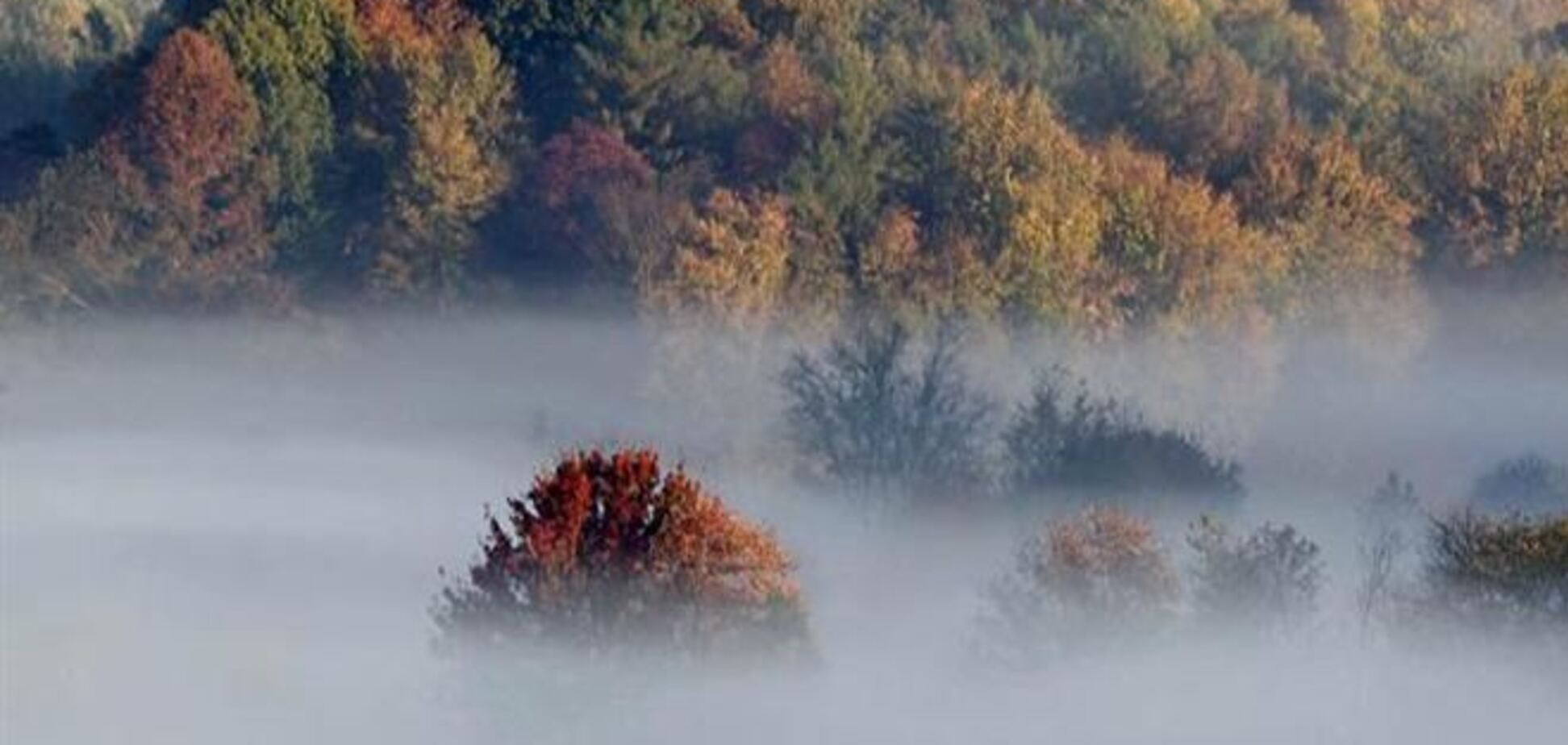 Выходные в Украине будут теплыми и туманными