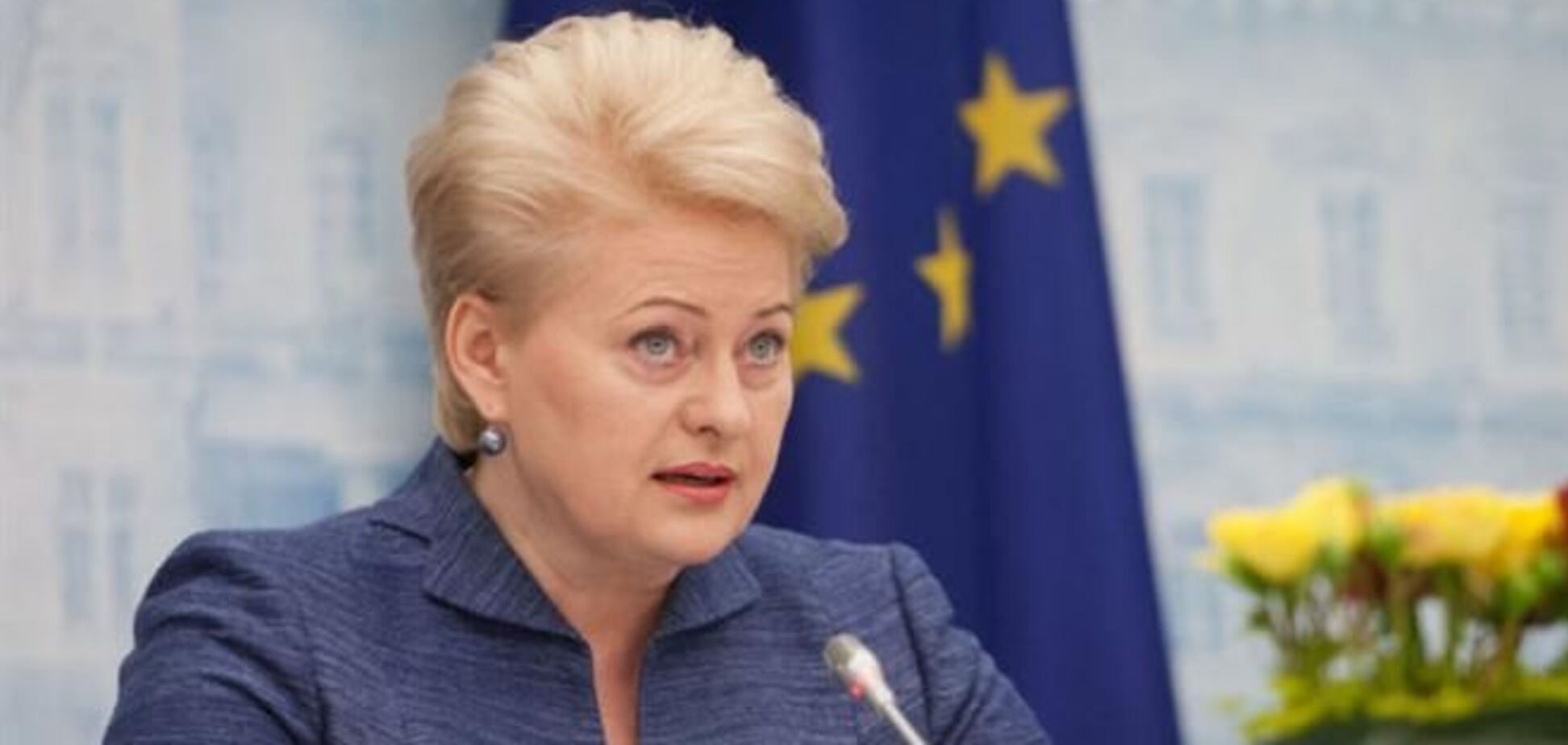Ассоциацию Украины с ЕС подпишут на саммите в Вильнюсе - Грибаускайте