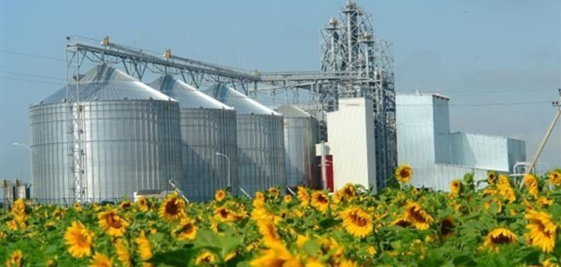 Ukrlandfarming получила $60 млн предоплаты от Cargill