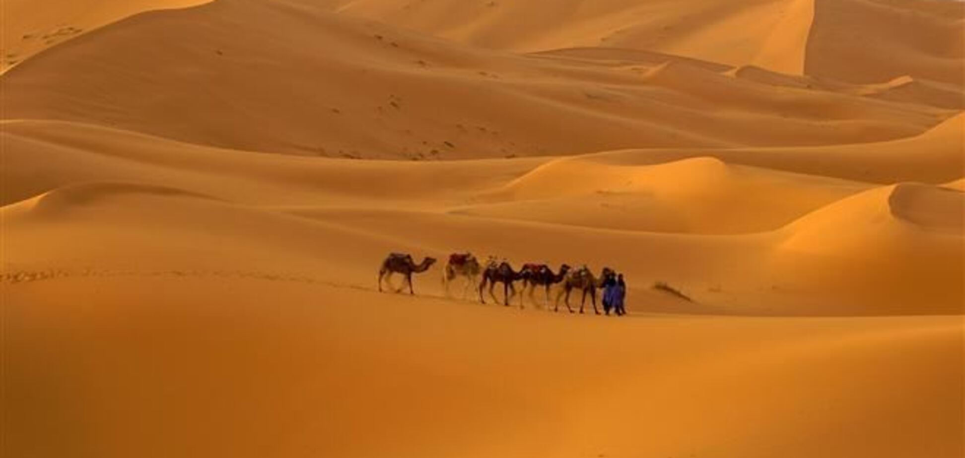 В Сахаре около 40 мигрантов умерли от жажды