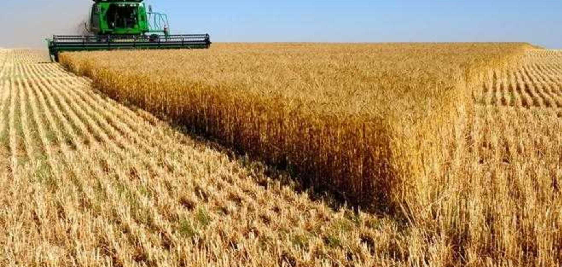 Украинские экспортеры подняли цены на зерно