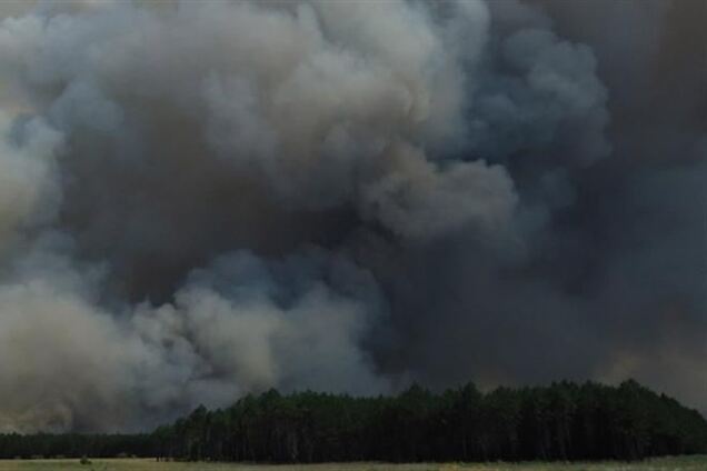 Винуватець торішніх пожеж на Херсонщині отримав 5 років в'язниці