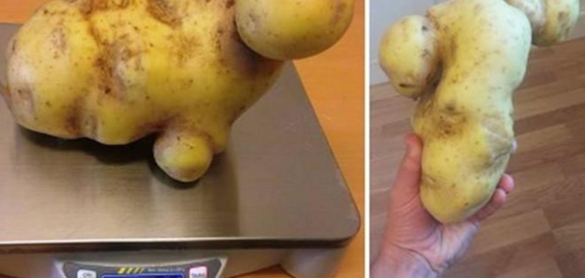 Знайдена картоплина, схожа на голу Кейт Уінслет