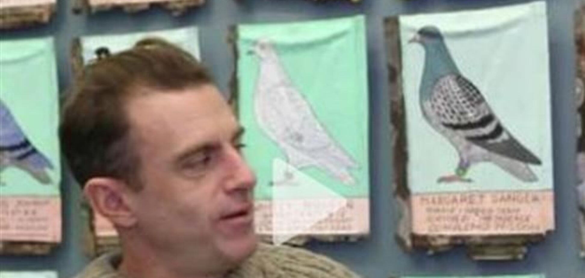 Художник доставил сигары с Кубы в США при помощи голубей
