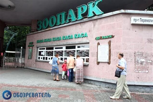 Махинации в зоопарке Киева: открыто уголовное дело