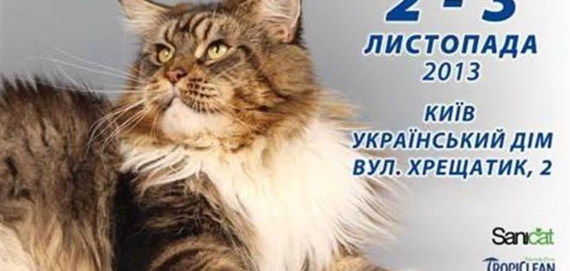 В Киеве пройдет международная выставка котов-гигантов