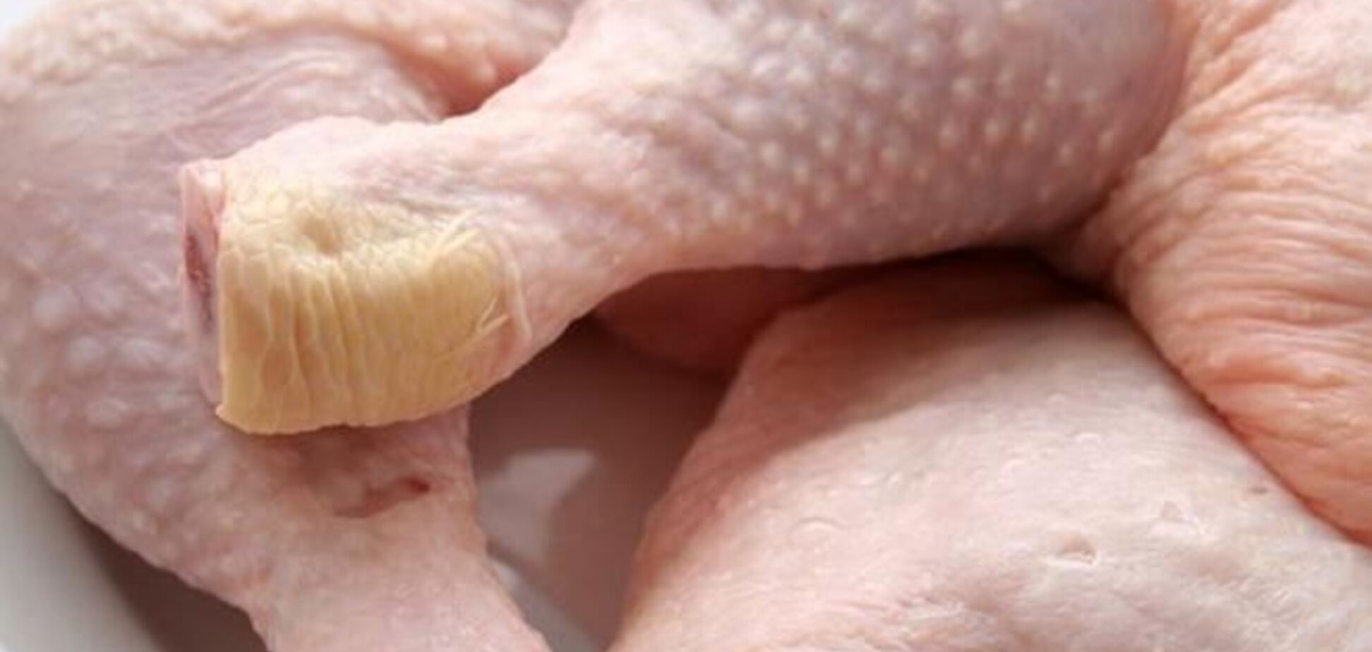 Украина начала экспорт курятины в ЕС