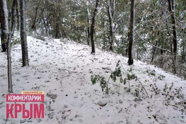 Крим замітає снігом
