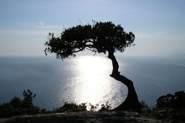 'Доктор Крым': риниты и бронхиты вам не страшны