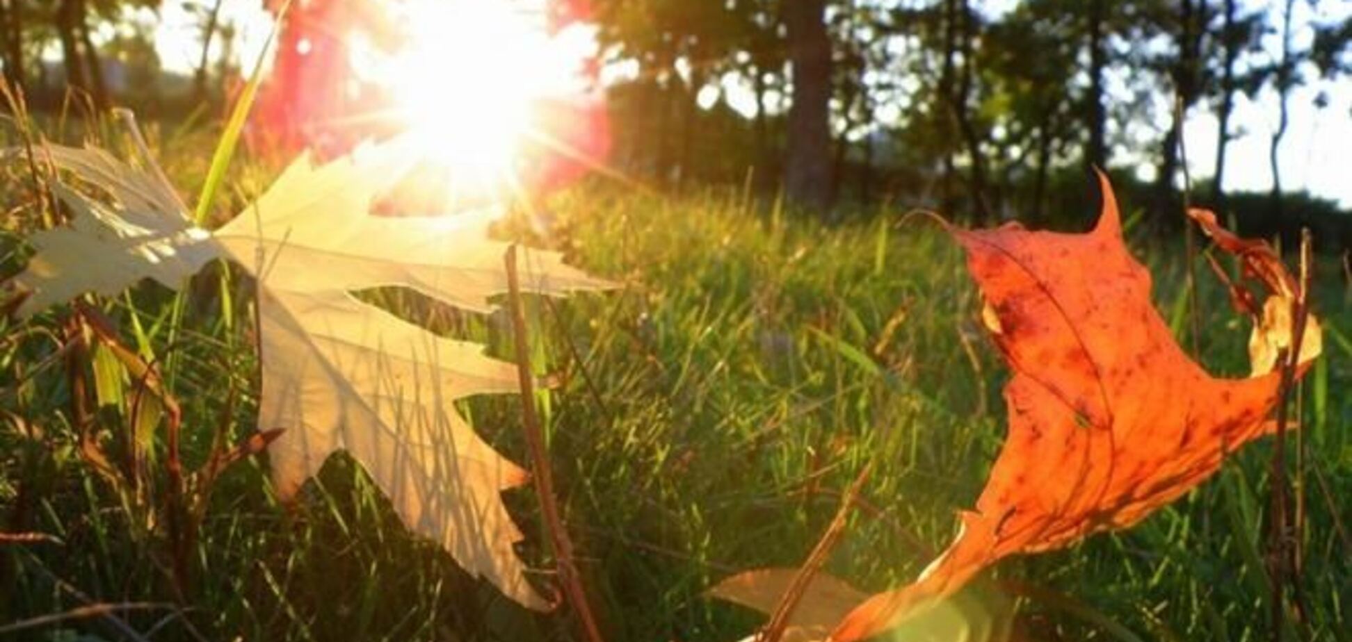 Бабье лето в Украине продлится до середины октября