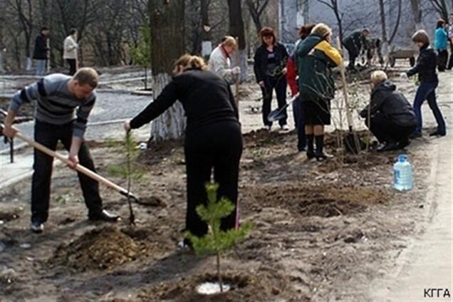Киевлян зовут на субботник сажать сосны