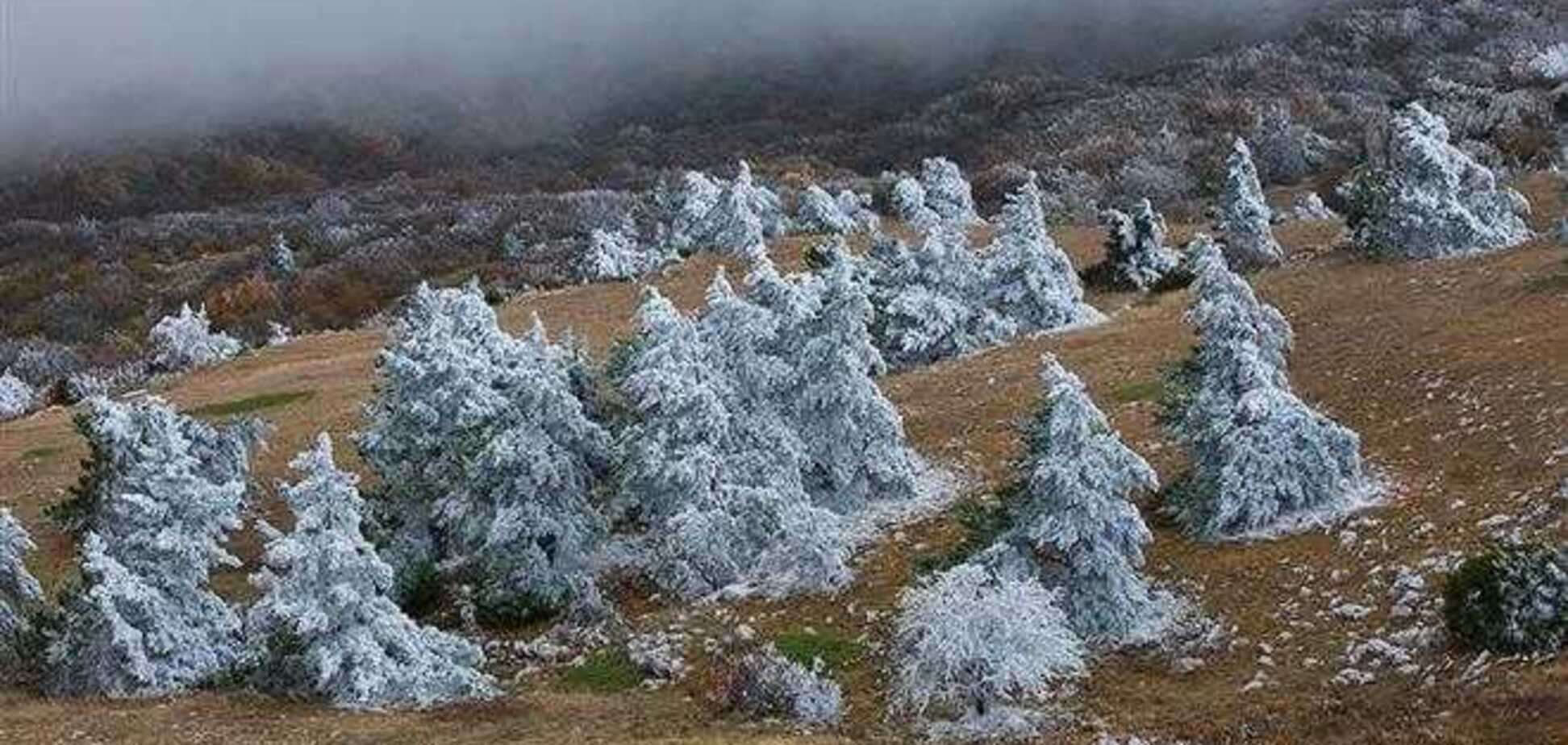 Первый снег на плато Ай-Петри