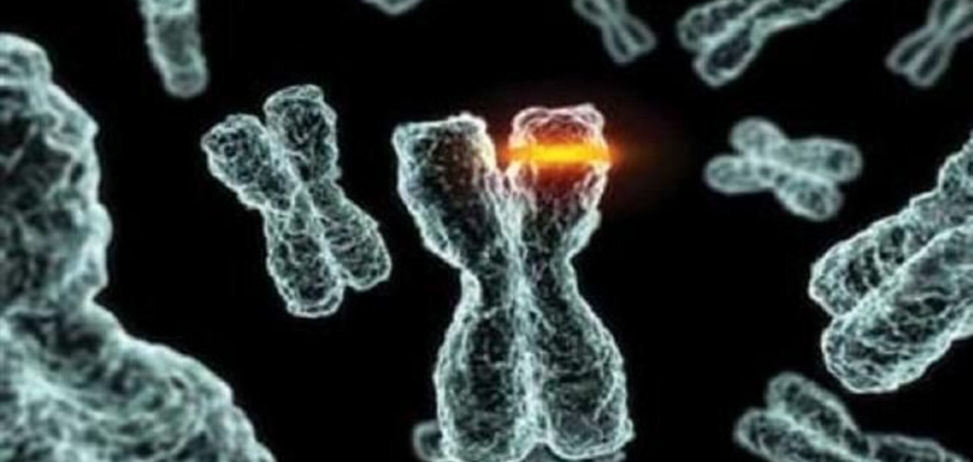 Ученые определили предназначение 'мусорных ДНК'