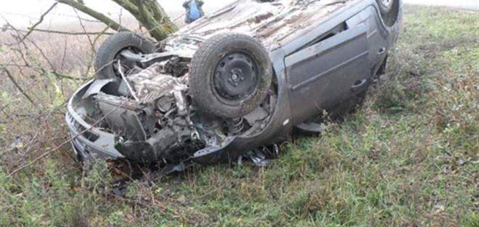 На Николаевщине иномарка улетела в кювет