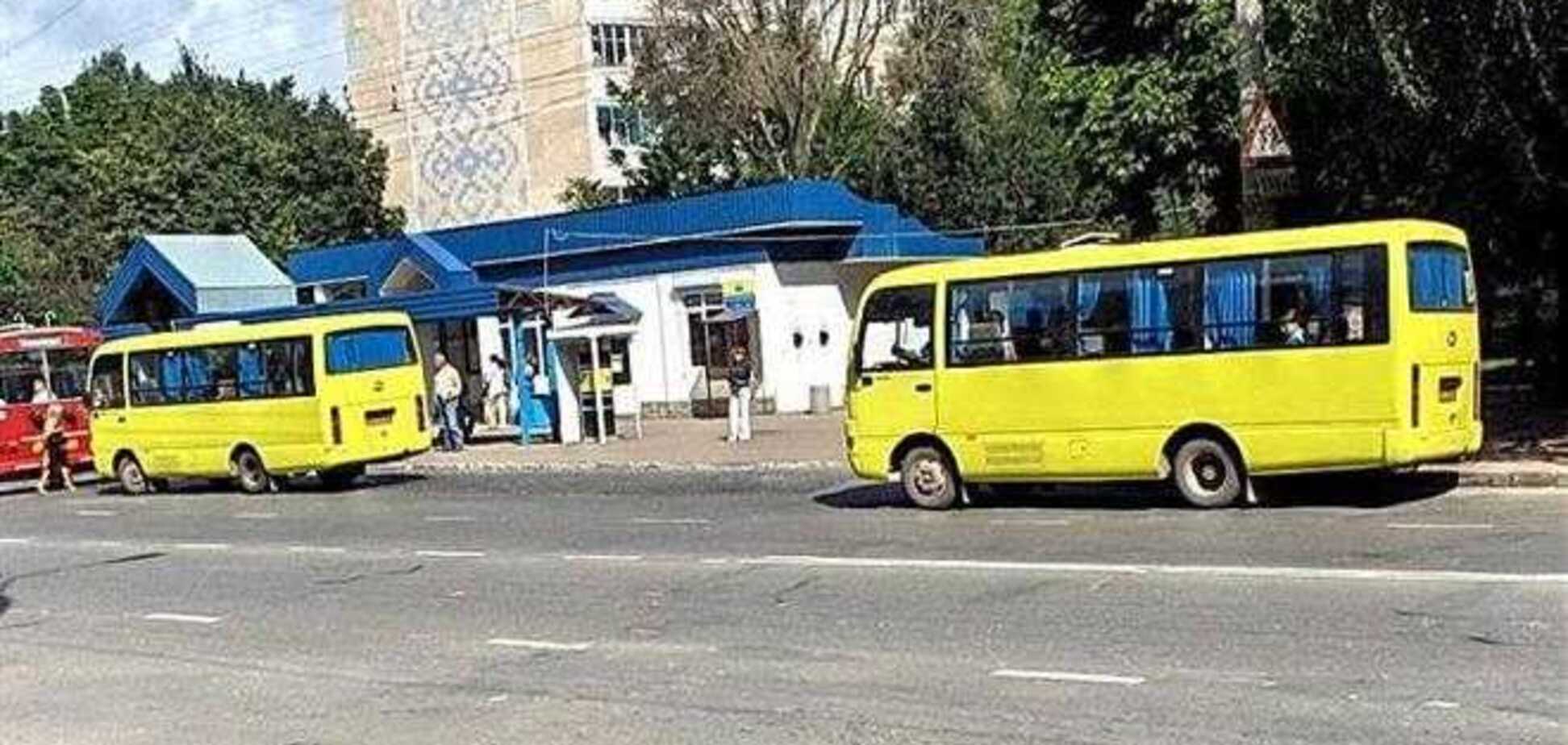 В Тернополе среди бела дня стащили автобусную остановку