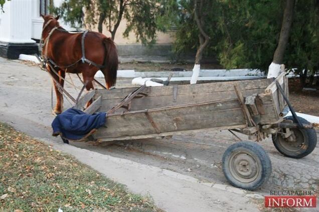 На Черкасщине 'Мустанг' въехал в гужевую повозку