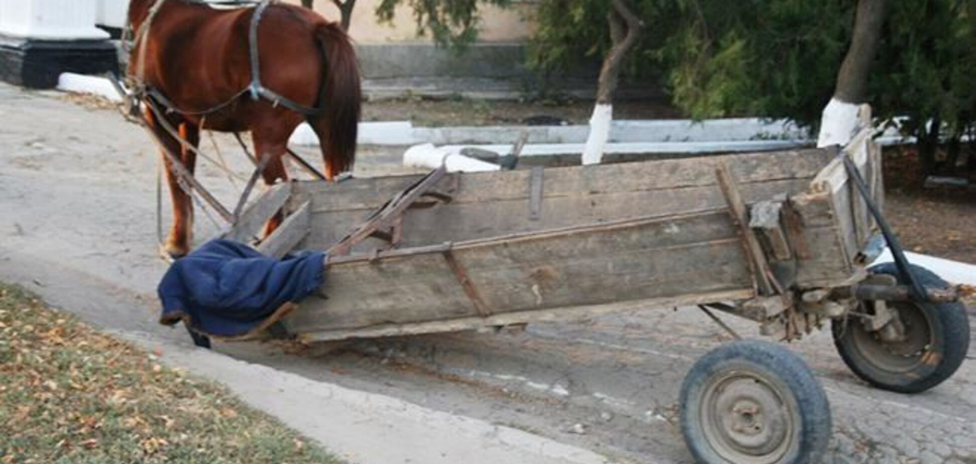 На Черкасщине 'Мустанг' въехал в гужевую повозку