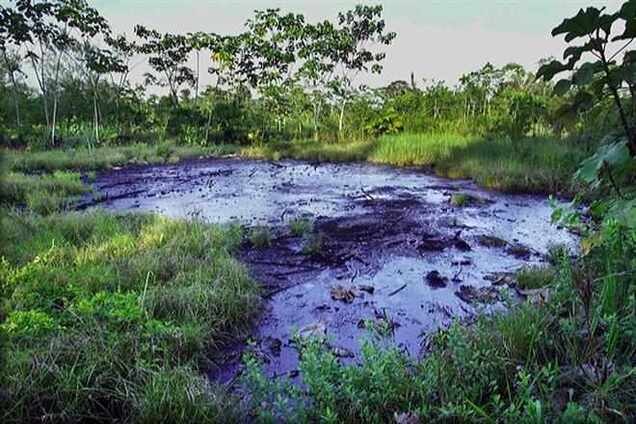 Эквадор намерен получить $9,5 млрд за загрязнение Амазонки