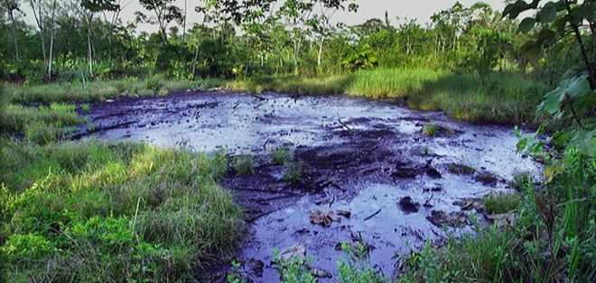 Эквадор намерен получить $9,5 млрд за загрязнение Амазонки