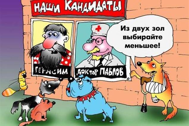 Українські вибори: заповідники і браконьєри