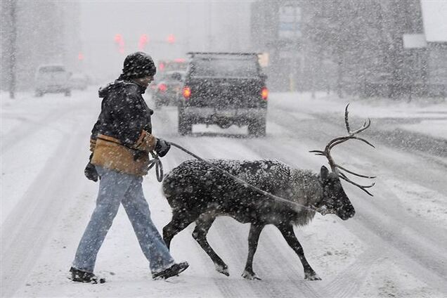 ОБОЗ.TV: 13 ноября за одну минуту