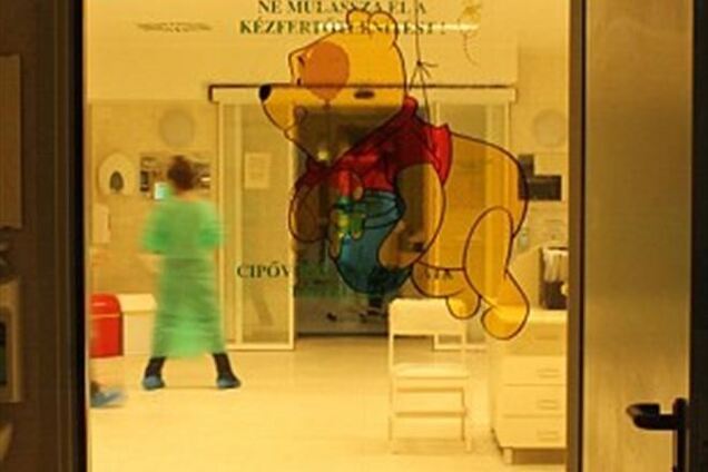 В Венгрии ребенок родился через три месяца после смерти матери