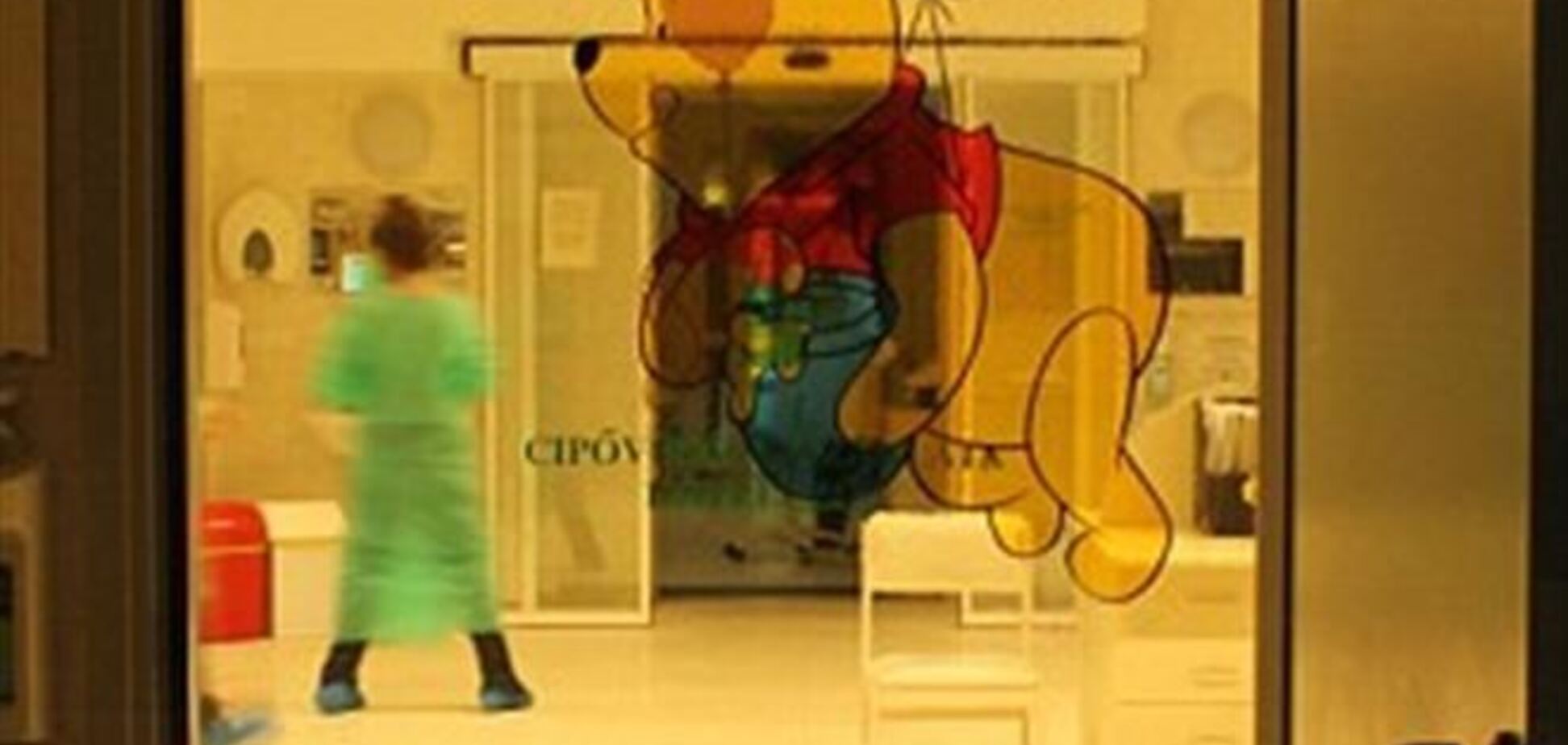 В Венгрии ребенок родился через три месяца после смерти матери