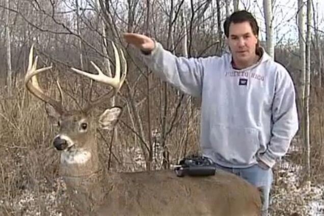 Браконьеров в Америке ловят на роботов-оленей