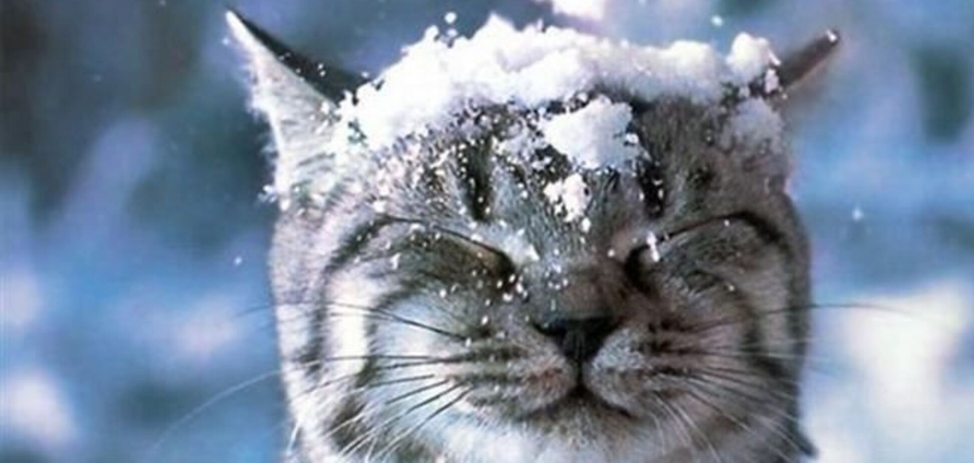 Метеорологи прогнозируют 'неустойчивую' зиму