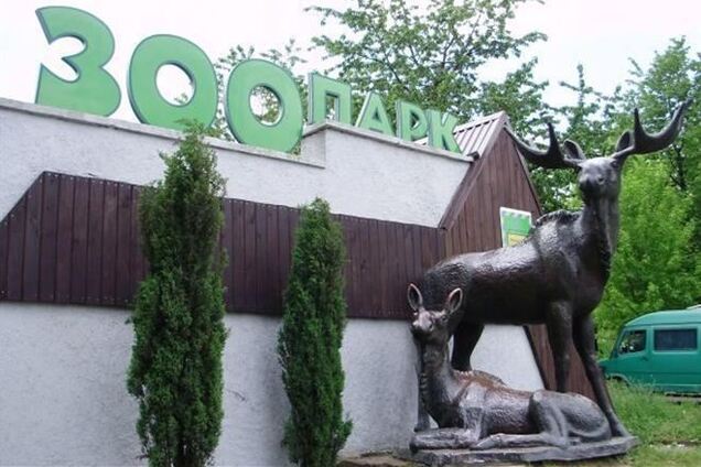 В Ривне ограбили зоопарк: похищены 100 тыс. гривен