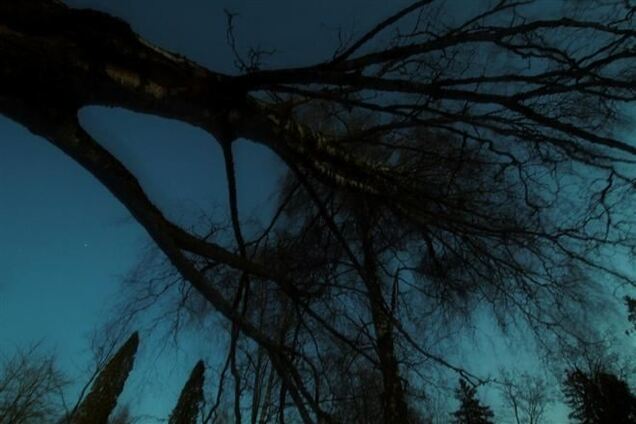 Ураган в Финляндии оставил без света 180 тыс. домов