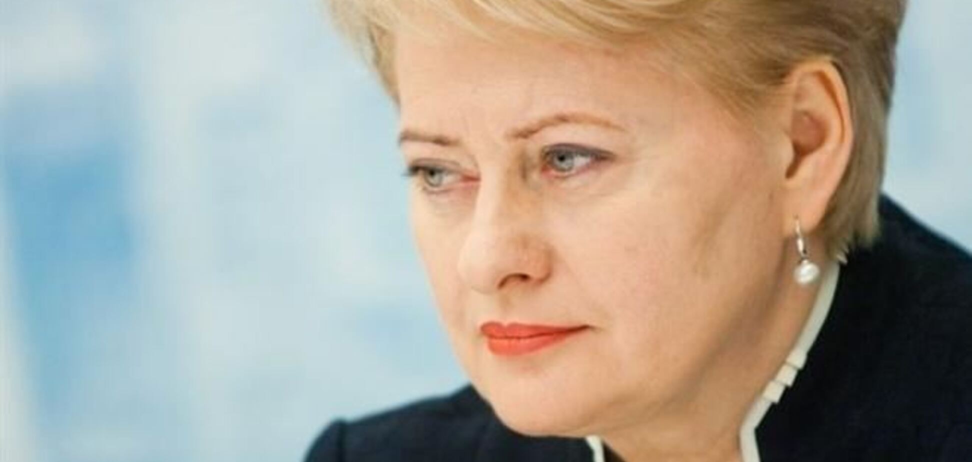 Президент Литви радить Грузії не повторювати помилку України