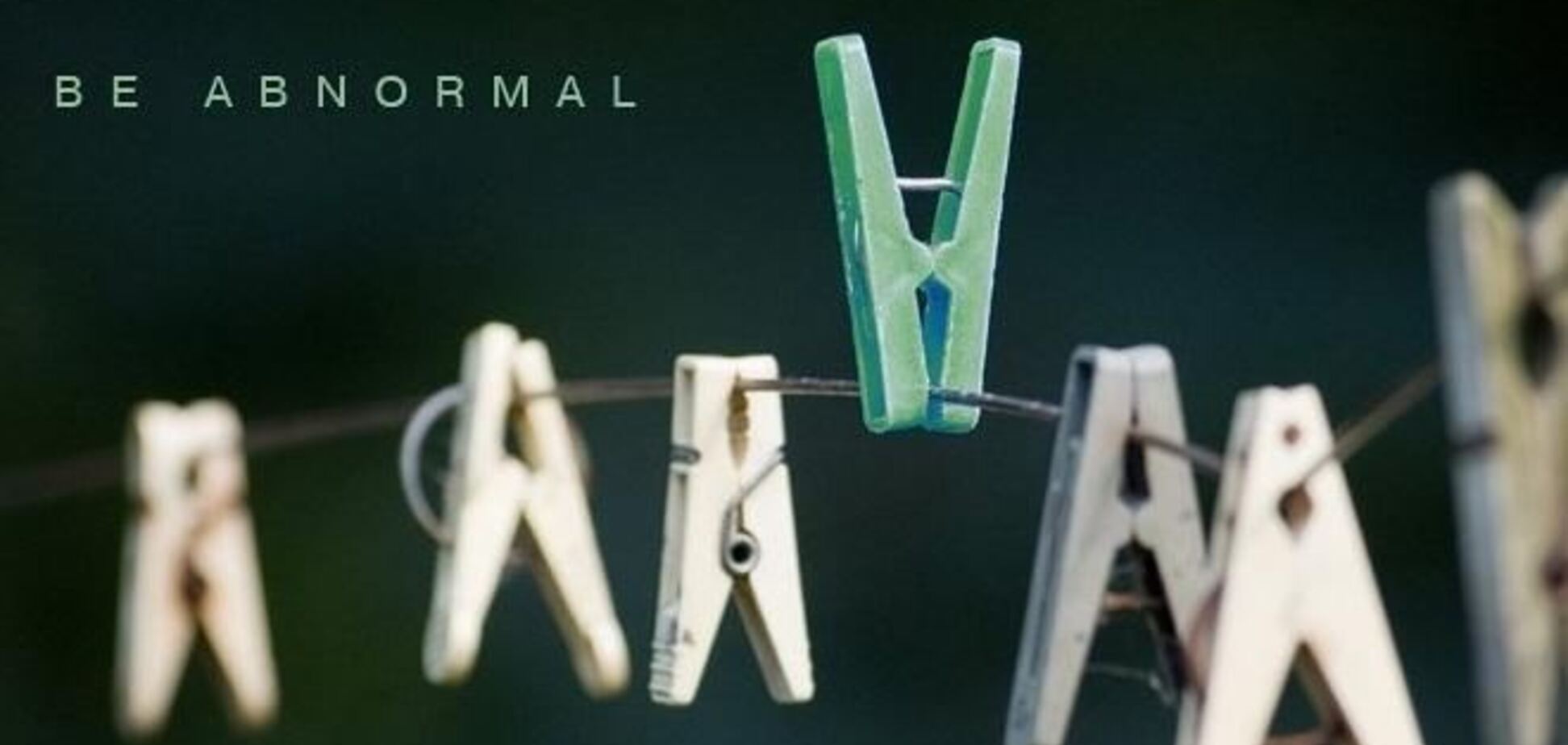 Что такое стадный инстинкт и можно ли с ним бороться