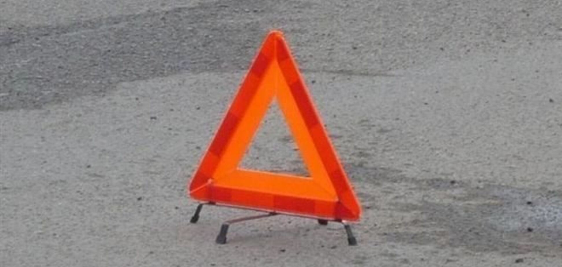 На Житомирщине легковушка въехала в гужевую повозку: лошадь погибла