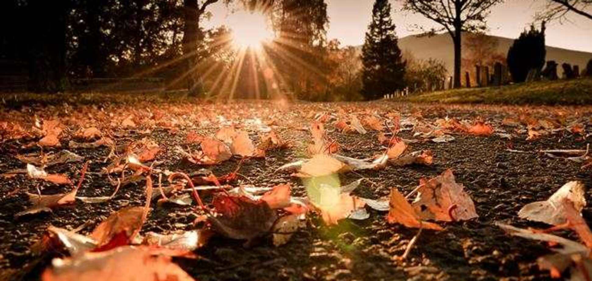 В среду в Украине потеплеет