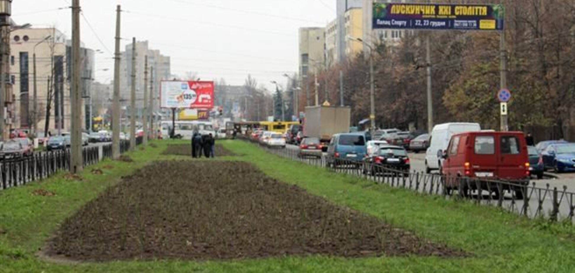 В Киеве горе-романтик для беременной жены вырвал 12 кустов роз