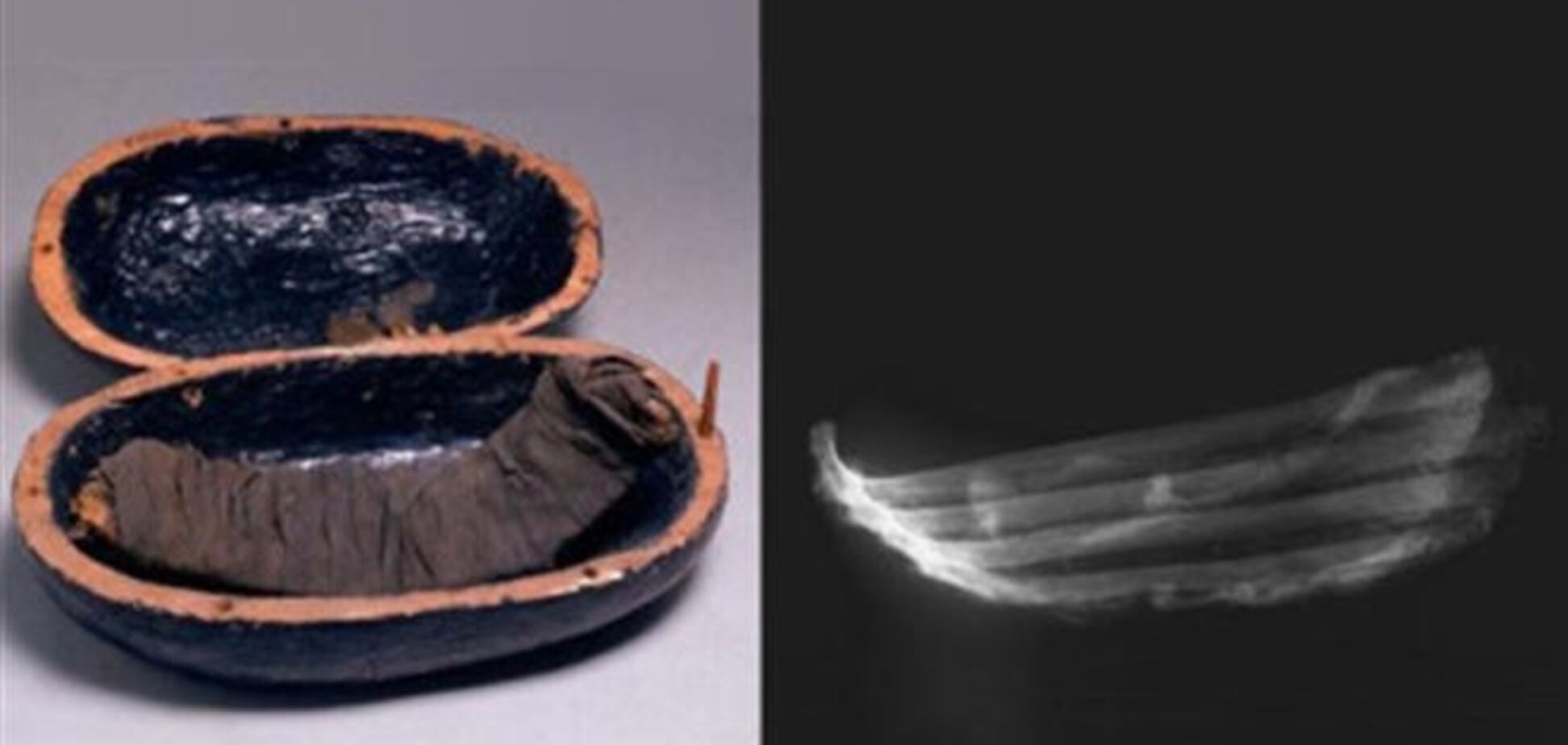 В гробницах Египта нашли мумифицированное мясо для фараонов