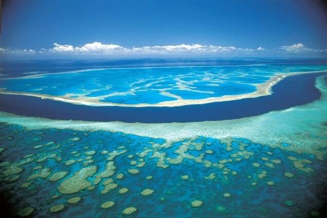 Ученые составили первую трехмерную карту Большого Барьерного рифа