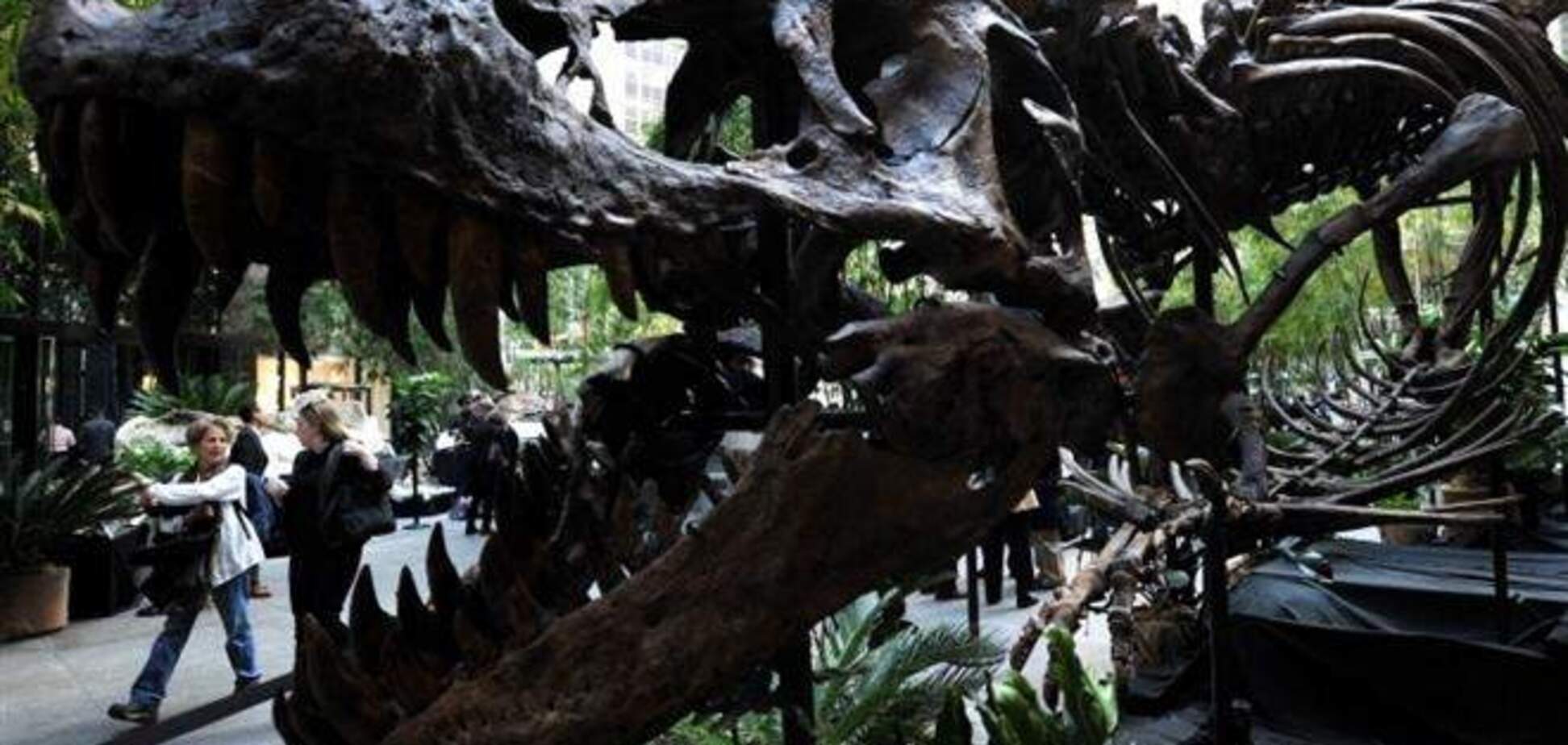 Скелеты динозавров за $7-9 млн отпугнули покупателей
