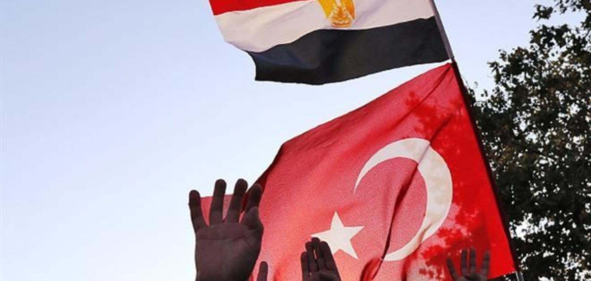 Турция и Египет объявили давно отозванных послов персонами нон грата