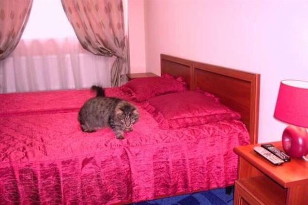 Участникам Евромайдана в Киеве предложили одну бесплатную ночь в отеле