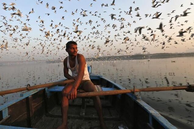 Тиждень у фотографіях, 25 листопада 2013