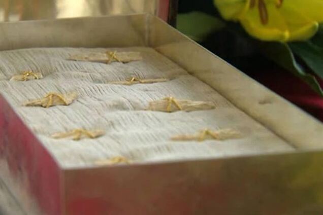 В Ватикане на всеобщее обозрение выставили кости апостола Петра