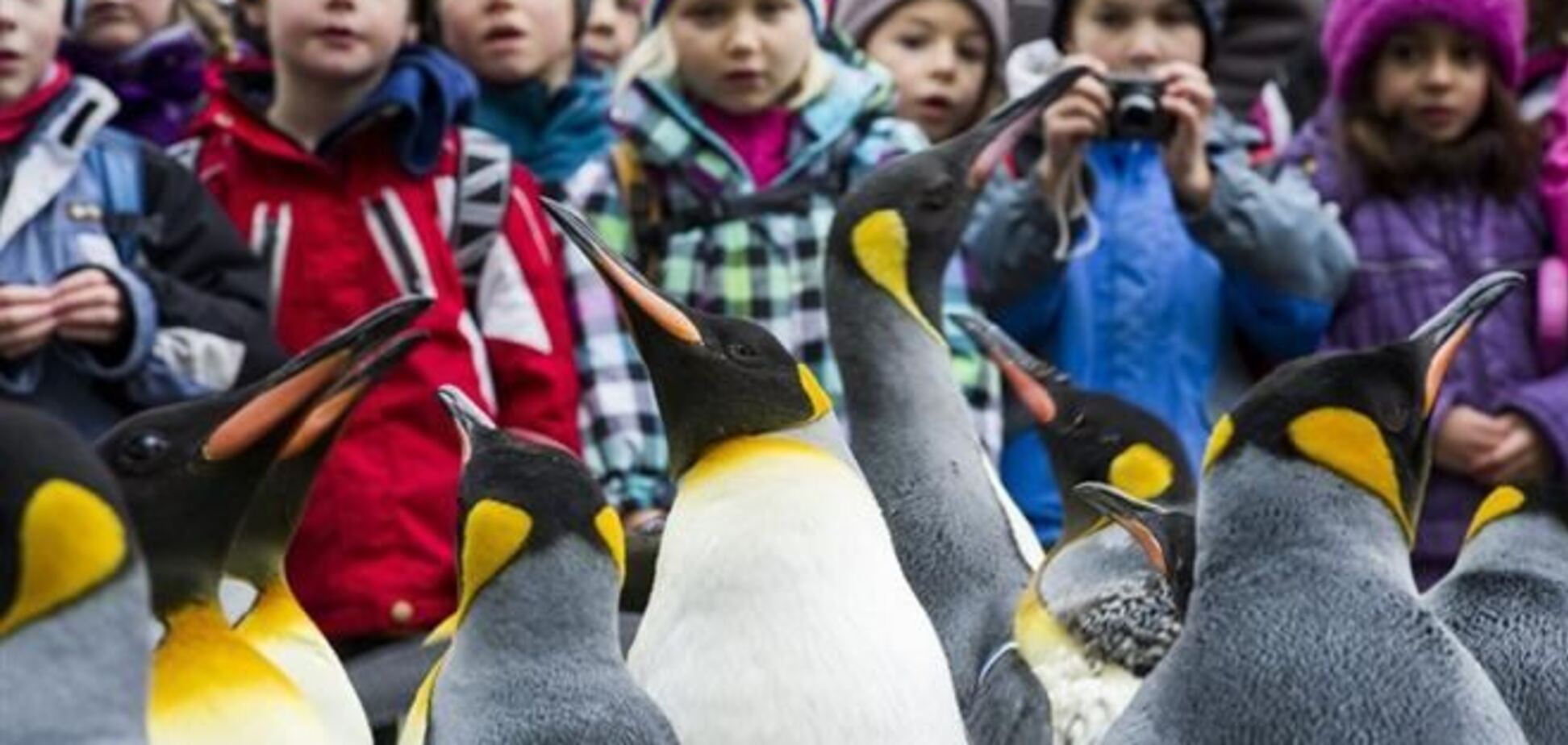 ОБОЗ.TV: 26 ноября за одну минуту