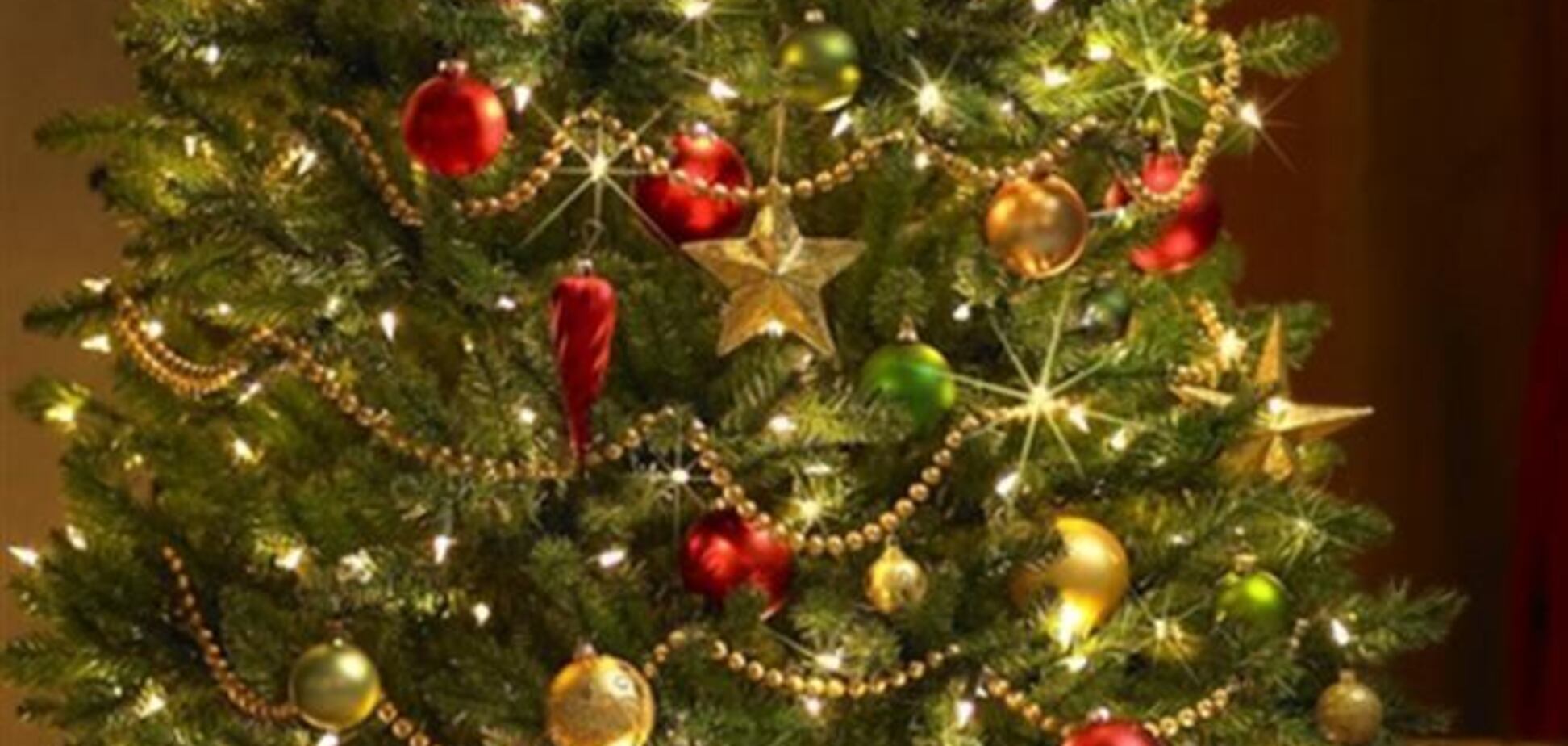 В Італії діти вкрали метрову різдвяну ялину